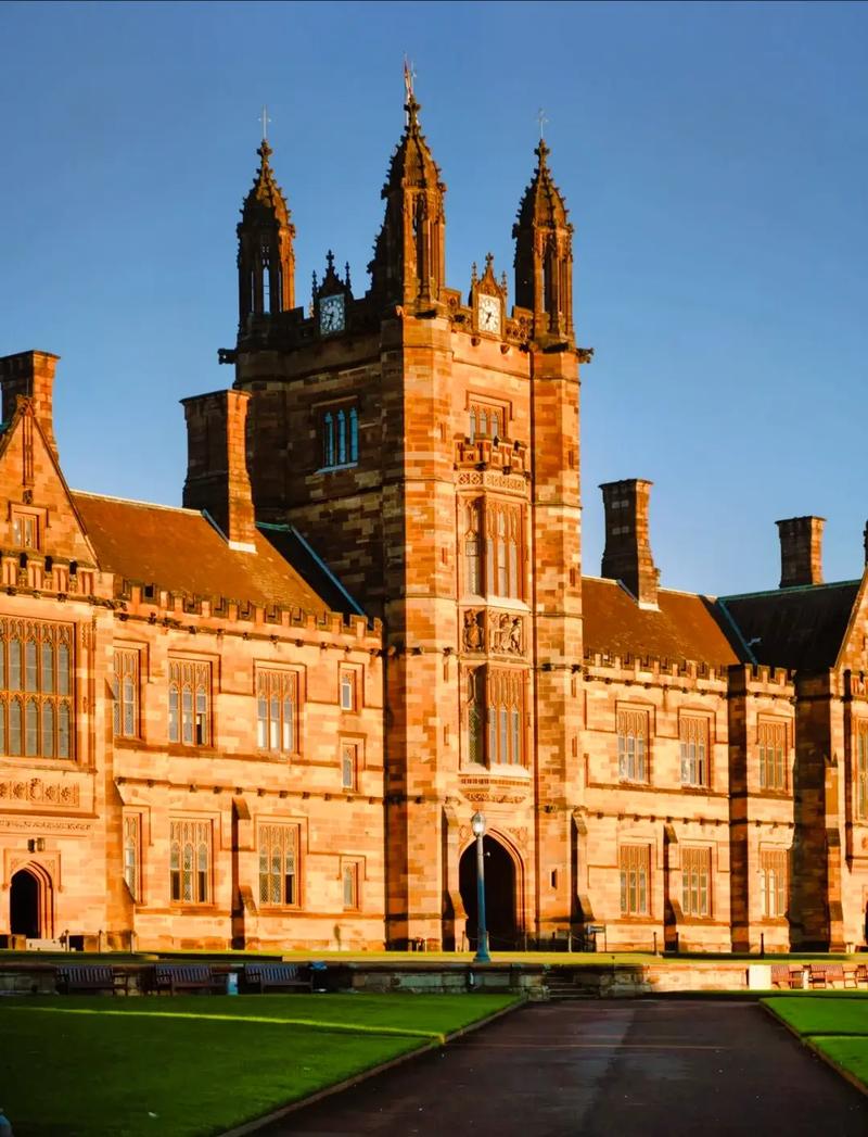 新不伦瑞克大学